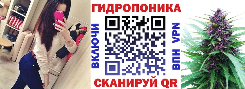 цена   Сычёвка  mega   Каннабис Amnesia 